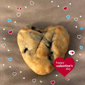 Meet your Posher, Gwen